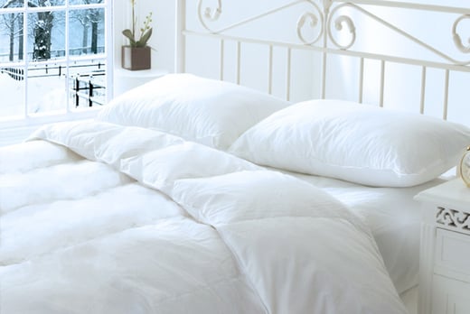 Winter Weight 16 5 Tog Duvet Bedding Deals In Shop Livingsocial