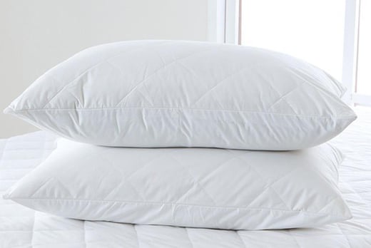 Extra Filled Quilted Pillows 2 Or 4 Bedding Deals In