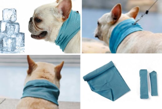 cooling scarf for dogs
