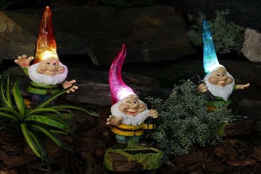 Solar Powered Gnome Lights | Shop | Wowcher