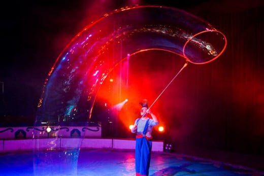 2 Tickets to Fossett’s Circus - Cork - LivingSocial