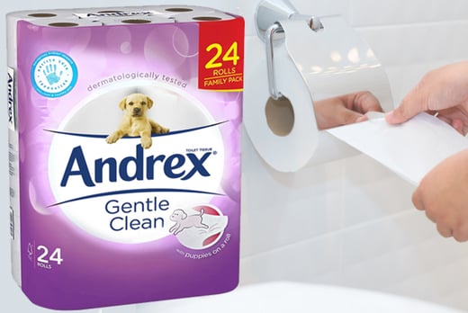 best price 24 andrex toilet rolls