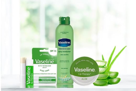 Vaseline Aloe Vera Trio Lips Deals In London Livingsocial