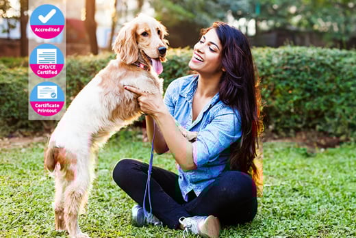 Dog Behaviour Course - LivingSocial Dog Behaviour Course - LivingSocial