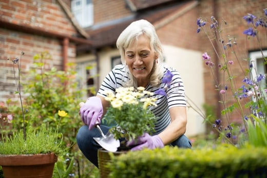 Gardening Landscaping Course London Wowcher