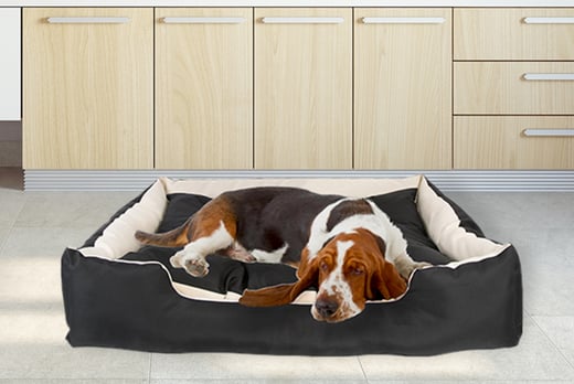dog bed deals