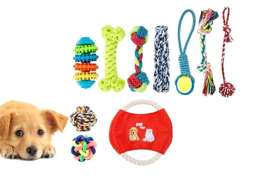 dog toy deals