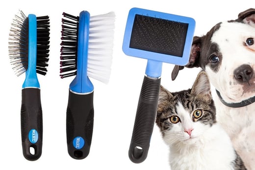 dog grooming brushes uk