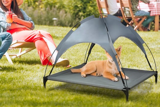 Outdoor Canopy Dog Bed Wowcher, Outdoor Bed With Canopy For Dogs