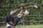 2hr Falconry Experience for 1 or 2