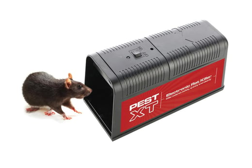 where to buy rodent traps