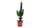 Mini-Cactus-Collection-11