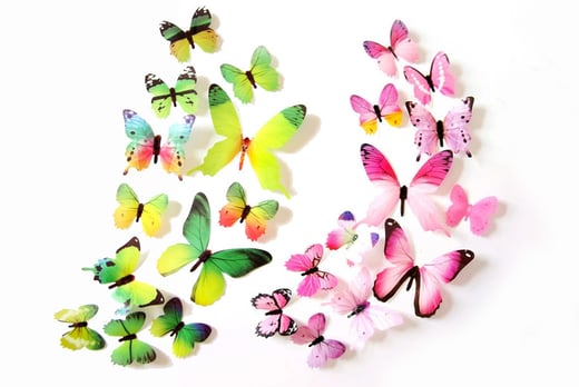 Download 3d Butterfly Wall Stickers Deal Canvas Art Accessories Deals In Gloucestershire