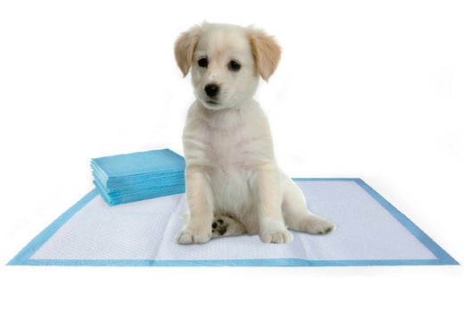 puppy pads