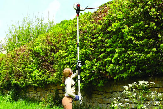 eckman telescopic hedge trimmer