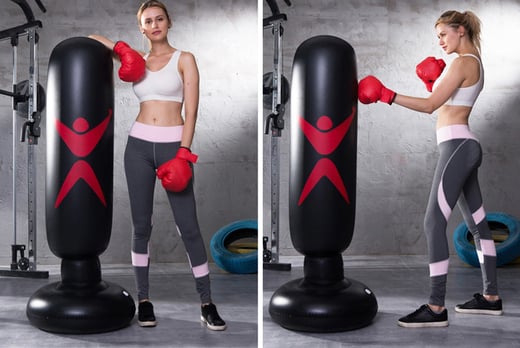 planet fitness punching bag