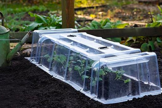 Mini Greenhouse Garden Cloche