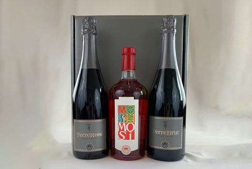 £4 for 35% Off Wine Gift Sets - Terre Di San Vito 
