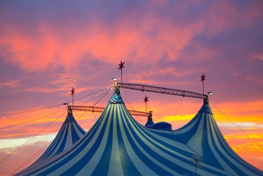 Mr Fips' Wonder Circus Tkts - Manchester - Wowcher