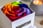 Single Preserved Eternity Rainbow Rose - Velvet Rose 