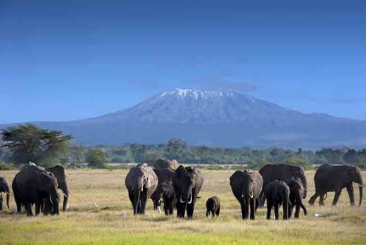 11-Day Mt Kilimanjaro Expedition | Stoke On Trent