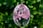 JAOYEH-TRADING-LTD----Cherry-Blossom-Pendant-Necklaces3
