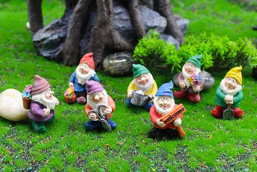 Mini Garden Gnome Set Offer, Mini Garden Gnomes