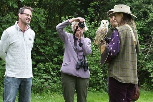 Owl or Falconry Experience Voucher 