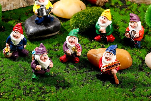7 Piece Mini Garden Gnome Set Offer, Mini Garden Gnomes
