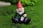 Mini-My-Little-Friend-Drunk-Gnome-Dwarfs-Funny-Resin-Statue-Cute-3