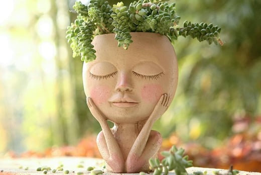 WishWhooshOffers---Face-Head-Flower-Pot-Planter-Resin-Pot-with-Drainage-Hole