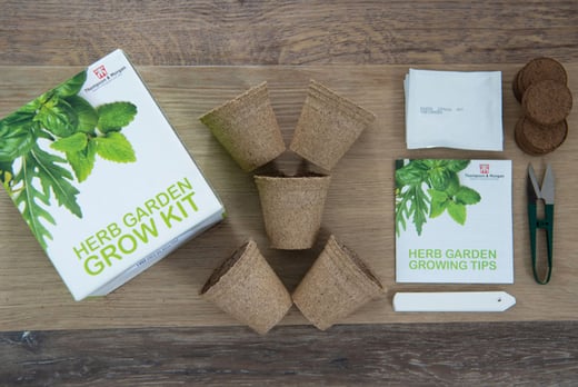 Herb Garden Growing Kit Offer Edinburgh Wowcher