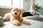 Dog Behaviour & Psychology Online Course