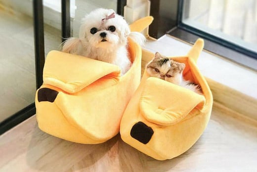 Banana-Peel-Pet-Bed-with-4-size-options!-1