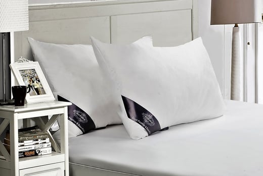 Duck-Feather-and-Down-Pillows-1