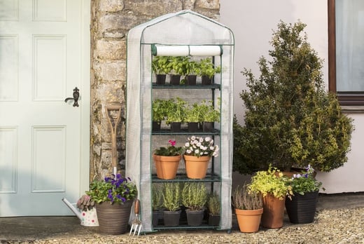 Garden Grow 4-Tier Greenhouse Voucher - LivingSocial