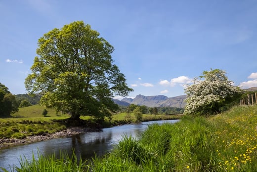 Lake District Stock Image