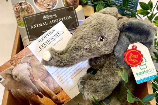 Aspinall Foundation Animal Park Entry & Adoption