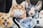3d-pet-pillow-n5