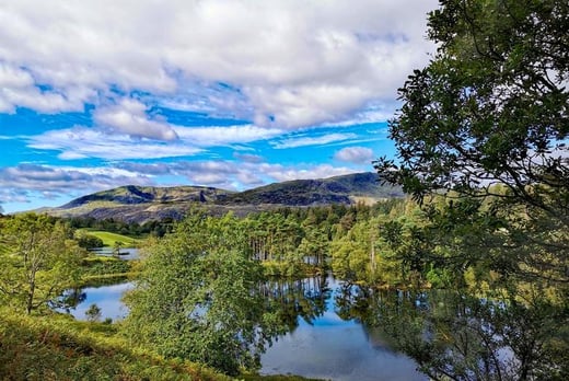 Lake District Stock Image