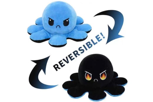 reversable-toy-2