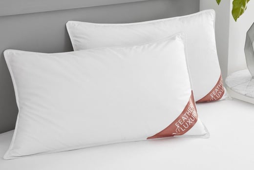 DUCK-FEATHER-PILLOW-PAIR-1