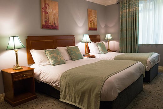 Ardboyne Hotel - bedroom