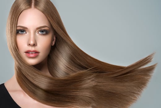 Hair Wash, Cut, Conditioning Treatment and Blow Dry - Bristol 