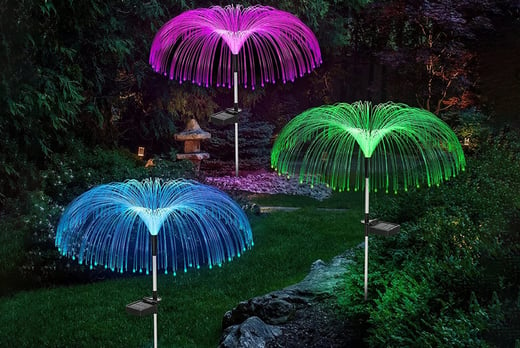 Solar Garden Fiber Optic Light Offer - LivingSocial