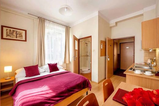 Maly Krakow Aparthotel-room