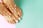 Shellac Nail Treatments – Hammersmith - Hands, Feet or Both! 