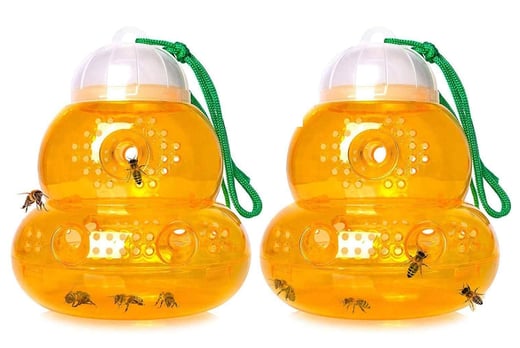 WASP-TRAP