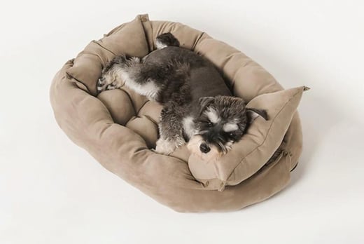 Multifunctional-Folding-Square-Cushion-Pet-Nest-Variable-Shape-Soft-Pet-Sofa-Bed-1