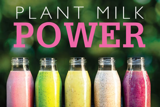 Plant Milk Power Recipe Book - Make Plant Based Milk At Home